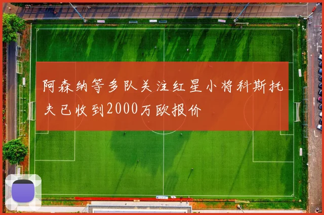 阿森纳等多队关注红星小将科斯托夫已收到2000万欧报价